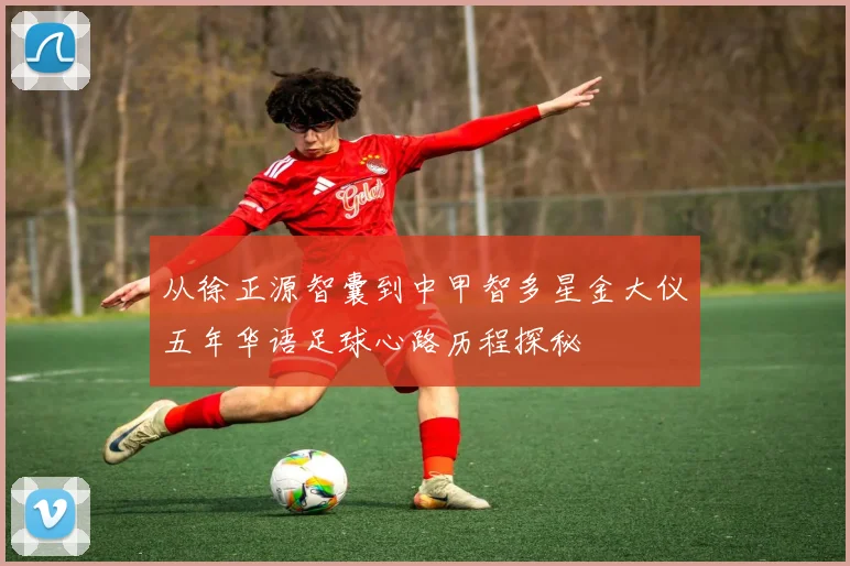 从徐正源智囊到中甲智多星金大仪五年华语足球心路历程探秘