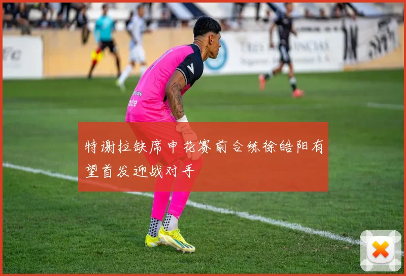 特谢拉缺席申花赛前合练徐皓阳有望首发迎战对手