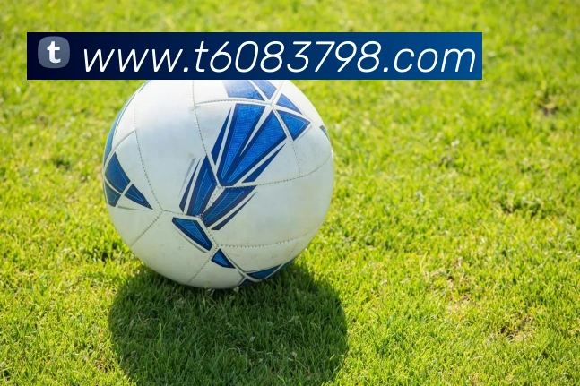 mksport体育app官网入口APP 高清赛事图